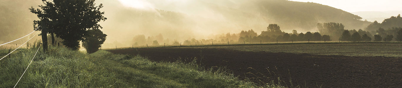 Field
